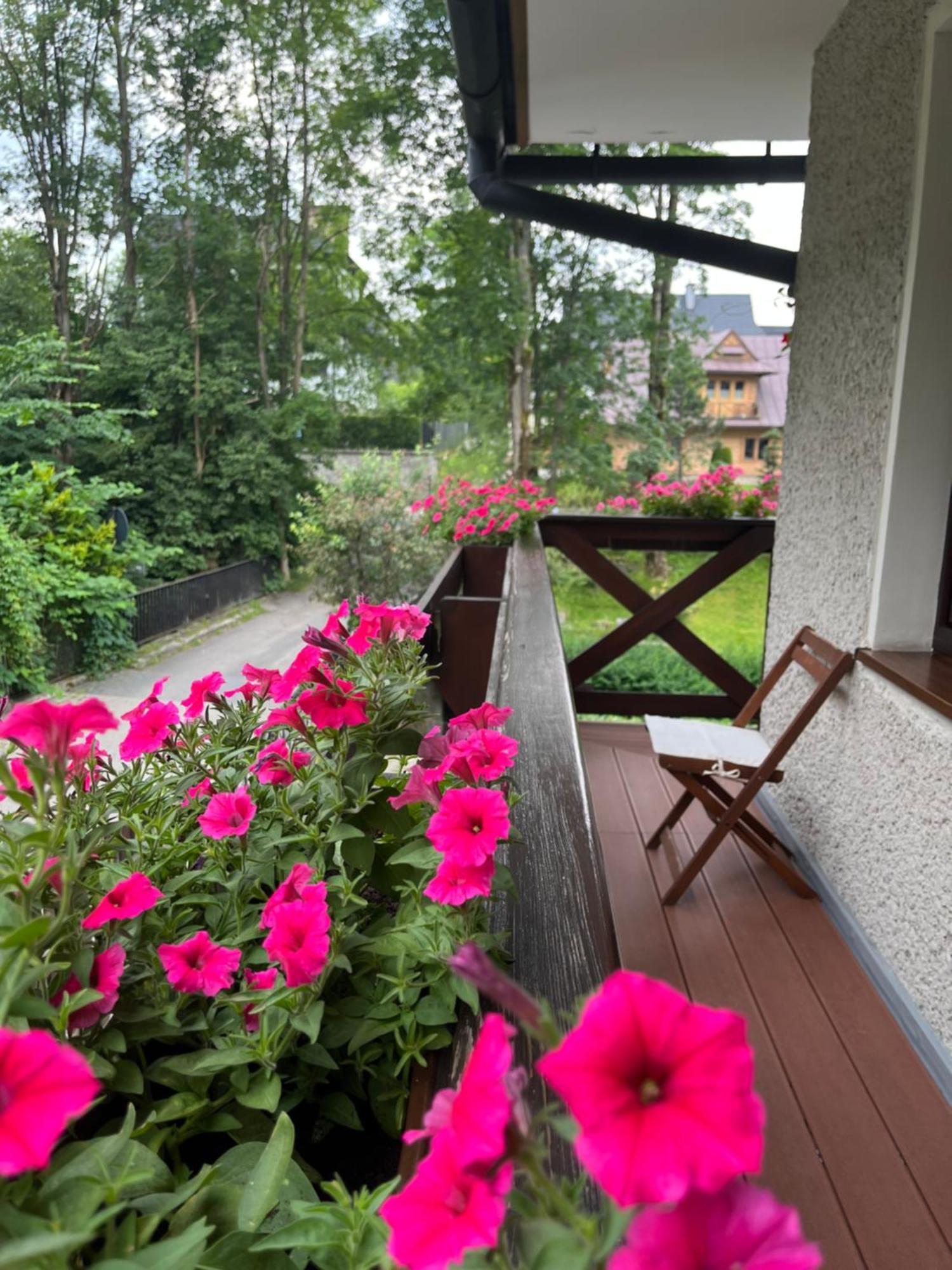 Marina Zakopane Bed & Breakfast Cameră foto